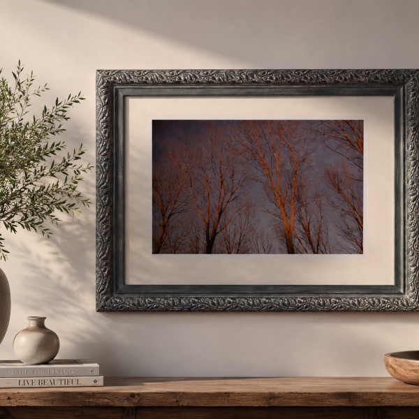 Cadre avec moulures relooké dans les tons bleu gris avec effet blanchi présentant une photographie originale de Michel Labro représentant des platanes vus en contre-plongée au coucher du soleil. Photo originale en tirage limité.